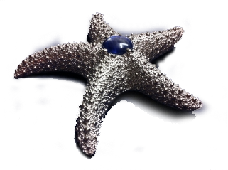 Starfish brooch